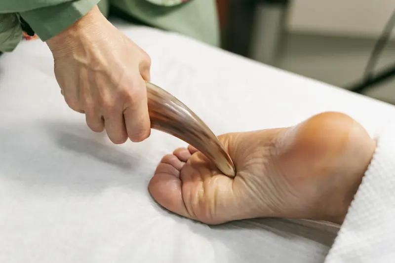 Ankle